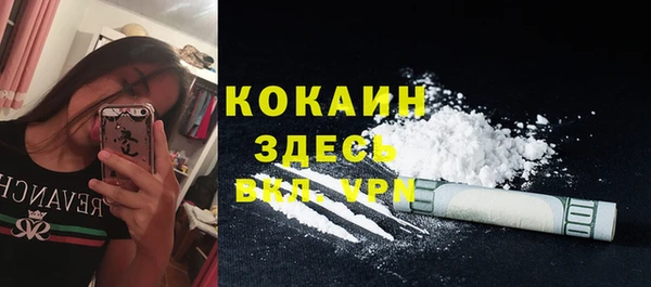 ПСИЛОЦИБИНОВЫЕ ГРИБЫ Белоозёрский