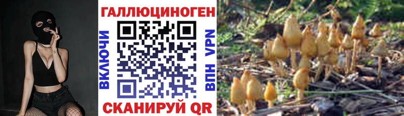 ОМГ ОМГ   магазин    Белозерск  Галлюциногенные грибы мицелий 